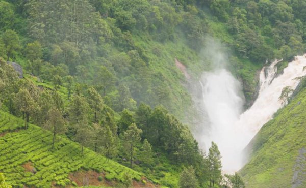 Kerala Tour